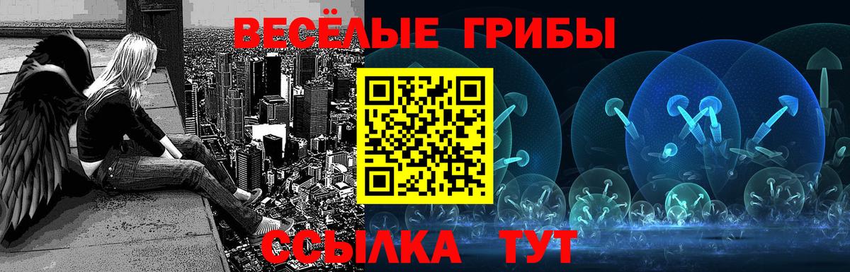 Псилоцибиновые грибы Psilocybe Североморск