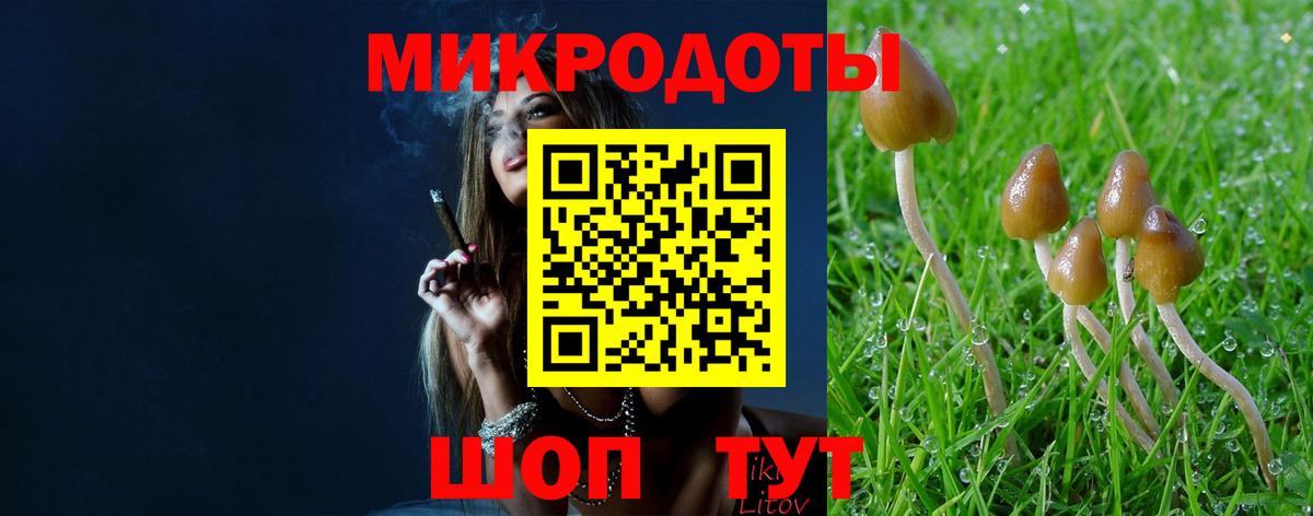 Североморск  Псилоцибиновые грибы GOLDEN TEACHER  Вход с VPN 